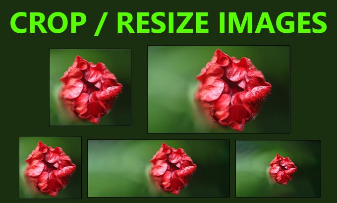 I will resize your images professionally for all platforms with perfect quality