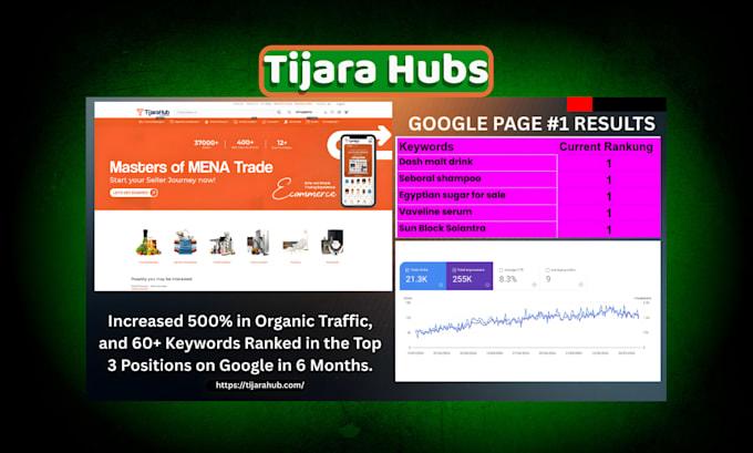 I will advance shopify SEO google top ranking mastery for your store
