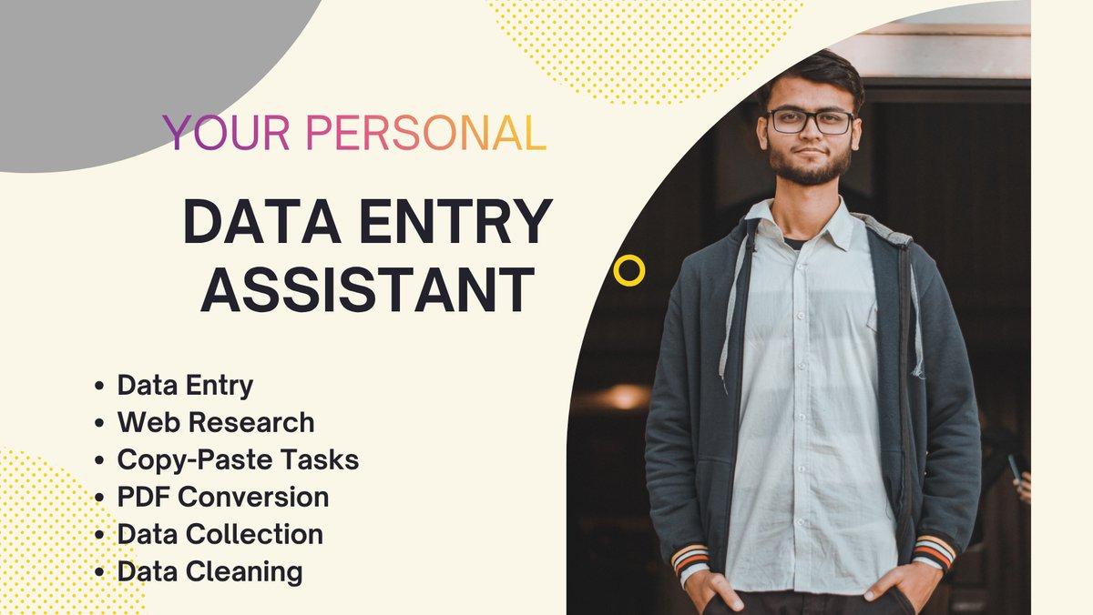 I will do any type of data entry work for you