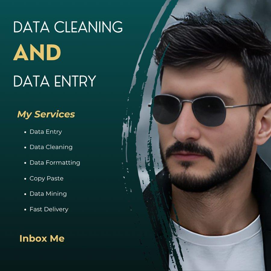 I will do accurate data entry, data cleaning, and Excel work.