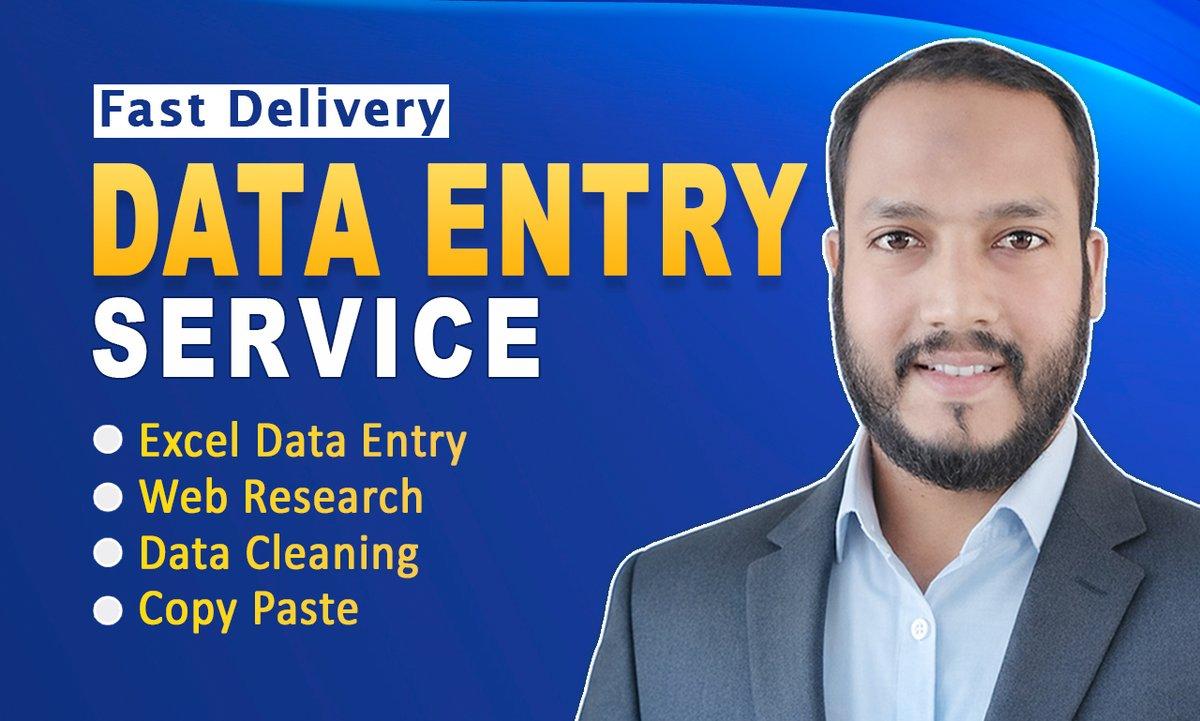 I will do excel data entry, web research, copy paste, data cleaning and typing